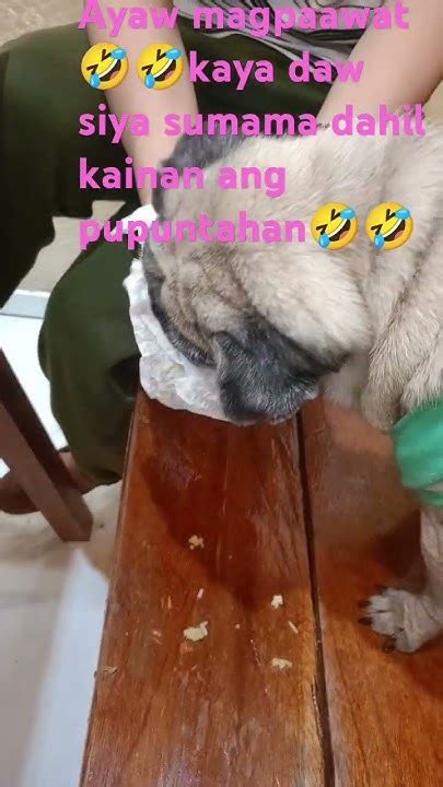 Ayaw paawat dahil daw rapsa .